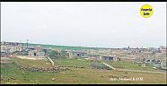 Viranşehir Aslanbaba Köyü 