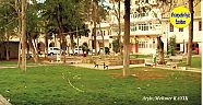 Viranşehir Belediye Parkı