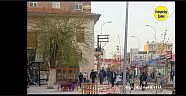 Viranşehir Ceylanpınar Caddesi Belediye Parkı Civarı 