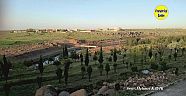 Viranşehir Curcup Bölgesi 