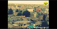 Viranşehir Genel Görünüşü 