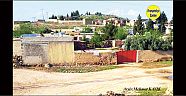 Viranşehir Kavurga Köyü 