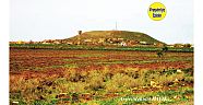 Viranşehir Yollarbaşı (Tılgoran) Köyü 